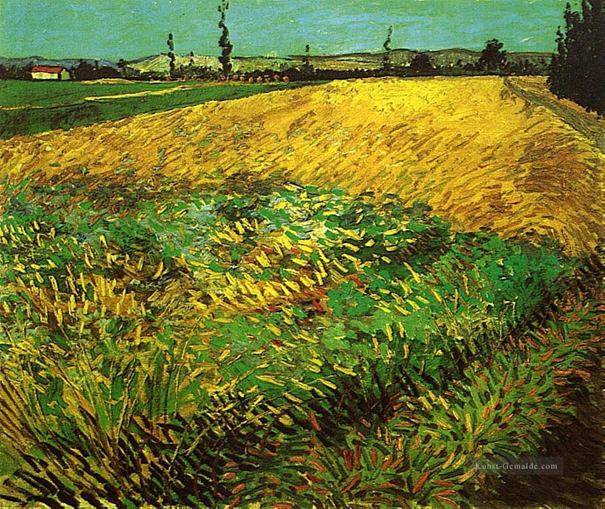 Weizenfeld mit dem Alpilles Vorberge im Hintergrund Vincent van Gogh Ölgemälde